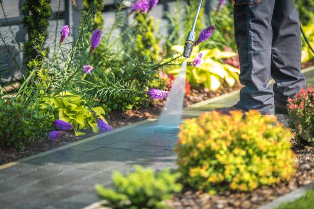 Best Pre-Holiday Cleaning  in Mountlake Terrace, WA