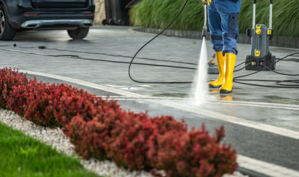Best Playground Equipment Cleaning  in Mountlake Terrace, WA